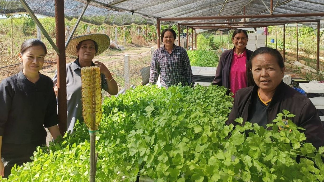 📢สพอ.ภูเขียว : ร่วมกับคณะทำงานขับเคลื่อนกองทุนพัฒนาบทบาทสตรีต.โคกสะอาด อ.ภูเขียว จ.ชัยภูมิ