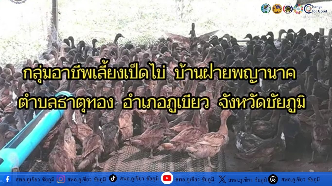 กลุ่มเลี้ยงเป็ดไข่เพื่อจำหน่าย บ้านฝายพยานาค ต.ธาตุทอง อ.ภูเขียว จ.ชัยภูมิ
